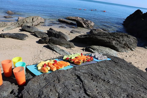Kayak Turtle Tour From Palm Cove - Holiday Cairns 36