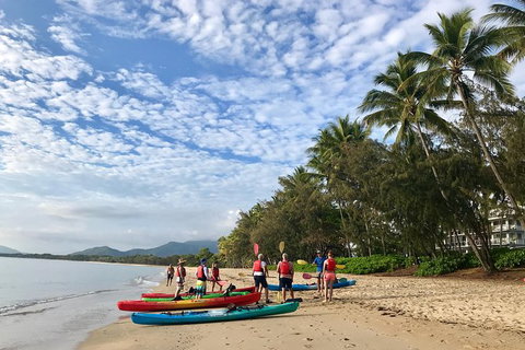 Kayak Turtle Tour From Palm Cove - Holiday Cairns 11