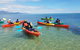 Kayak Turtle Tour From Palm Cove - thumb 25