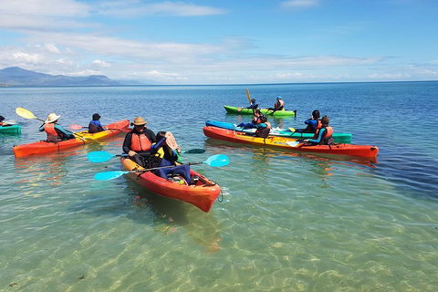 Kayak Turtle Tour From Palm Cove - Holiday Cairns 25