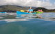 Kayak Turtle Tour From Palm Cove - thumb 0