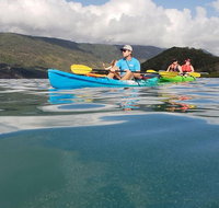 Kayak Turtle Tour from Palm Cove - Holiday Cairns