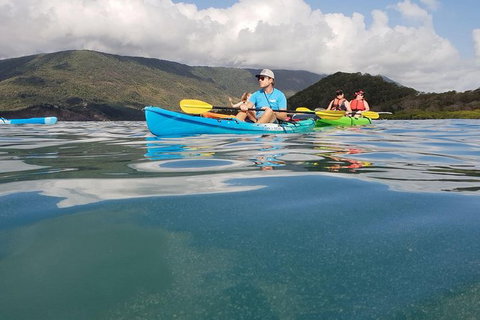 Kayak Turtle Tour From Palm Cove - Holiday Cairns 0