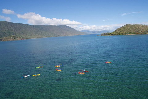 Kayak Turtle Tour From Palm Cove - Holiday Cairns 44