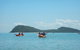 Kayak Turtle Tour From Palm Cove - thumb 33