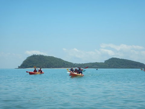 Kayak Turtle Tour From Palm Cove - Holiday Cairns 33