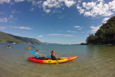 Kayak Turtle Tour From Palm Cove - Holiday Cairns 21