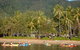Kayak Turtle Tour From Palm Cove - thumb 16