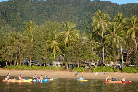 Kayak Turtle Tour From Palm Cove - Holiday Cairns 16