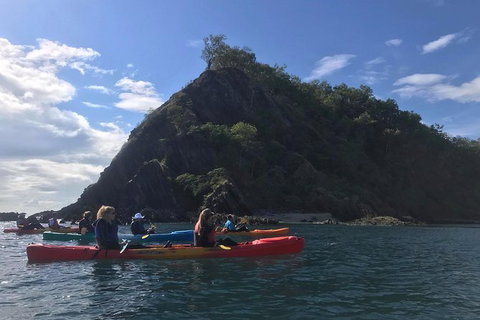 Kayak Turtle Tour From Palm Cove - Holiday Cairns 3