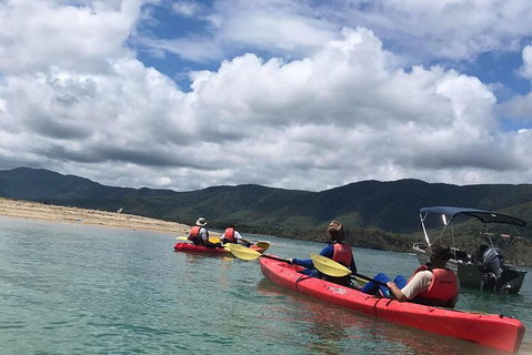 Kayak Turtle Tour From Palm Cove - Holiday Cairns 29