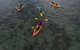 Kayak Turtle Tour From Palm Cove - thumb 35