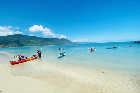 Kayak Turtle Tour From Palm Cove - Holiday Cairns 4