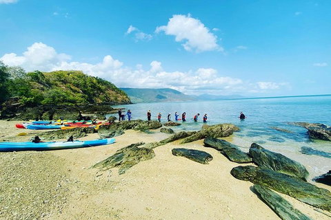 Kayak Turtle Tour From Palm Cove - Holiday Cairns 18