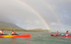 Kayak Turtle Tour From Palm Cove - thumb 26