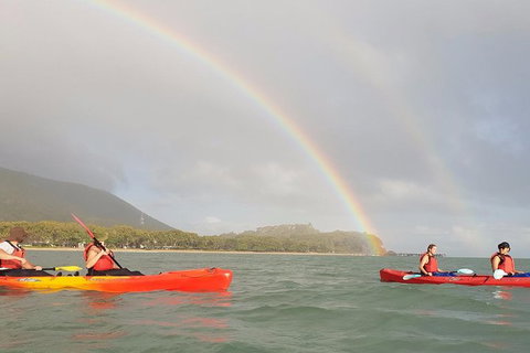Kayak Turtle Tour From Palm Cove - Holiday Cairns 26