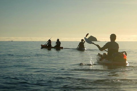 Kayak Turtle Tour From Palm Cove - Holiday Cairns 8
