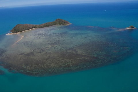 Kayak Turtle Tour From Palm Cove - Holiday Cairns 20