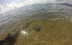 Kayak Turtle Tour From Palm Cove - thumb 19