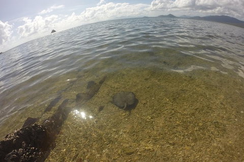 Kayak Turtle Tour From Palm Cove - Holiday Cairns 19