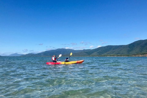 Kayak Turtle Tour From Palm Cove - Holiday Cairns 48