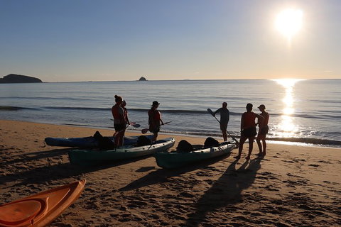 Kayak Turtle Tour From Palm Cove - Holiday Cairns 5