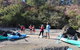 Kayak Turtle Tour From Palm Cove - thumb 46