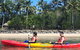 Kayak Turtle Tour From Palm Cove - thumb 22