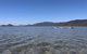 Kayak Turtle Tour From Palm Cove - thumb 43