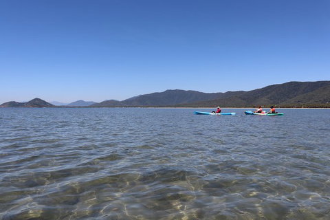 Kayak Turtle Tour From Palm Cove - Holiday Cairns 43