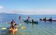 Kayak Turtle Tour From Palm Cove - thumb 37