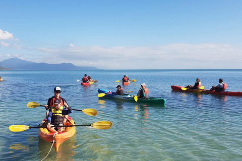 Kayak Turtle Tour From Palm Cove - Holiday Cairns 37
