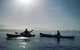 Kayak Turtle Tour From Palm Cove - thumb 7