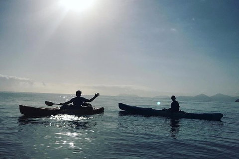 Kayak Turtle Tour From Palm Cove - Holiday Cairns 7
