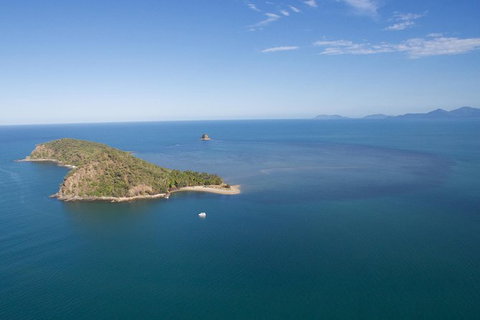Kayak Turtle Tour From Palm Cove - Holiday Cairns 47