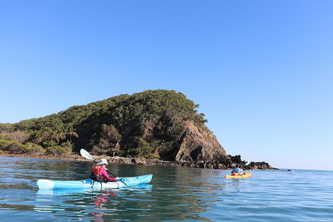 Kayak Turtle Tour From Palm Cove - Holiday Cairns 30