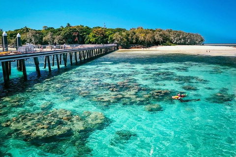 Green Island Discovery Including Glass Bottom Boat Tour Departing Cairns - Holiday Cairns 1