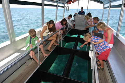 Green Island Discovery Including Glass Bottom Boat Tour Departing Cairns - Holiday Cairns 2