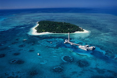 Green Island Discovery Including Glass Bottom Boat Tour Departing Cairns - Holiday Cairns 6