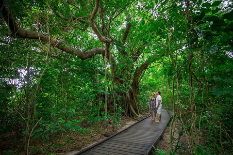 Green Island Discovery Including Glass Bottom Boat Tour Departing Cairns - Holiday Cairns 4