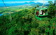 3-Day Best Of Cairns Combo: The Daintree Rainforest, Great Barrier Reef, And Kuranda - thumb 9
