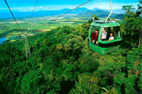 3-Day Best Of Cairns Combo: The Daintree Rainforest, Great Barrier Reef, And Kuranda - Holiday Cairns 9