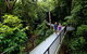 3-Day Best Of Cairns Combo: The Daintree Rainforest, Great Barrier Reef, And Kuranda - thumb 6