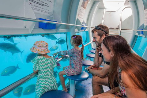 Cruise To Moore Reef Pontoon And Return Helicopter Flight From Cairns - Holiday Cairns 2