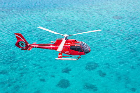 Cruise To Moore Reef Pontoon And Return Helicopter Flight From Cairns - Holiday Cairns 7