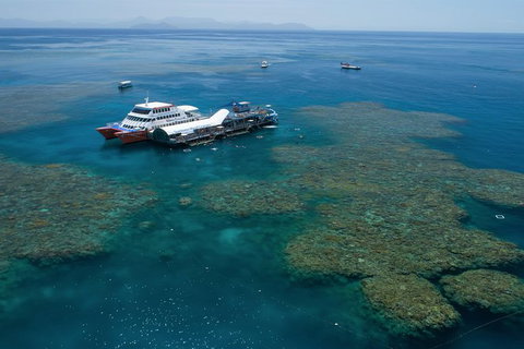 Cruise To Moore Reef Pontoon And Return Helicopter Flight From Cairns - Holiday Cairns 5