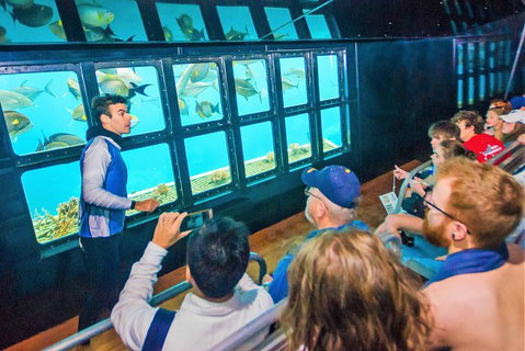 Cruise To Moore Reef Pontoon And Return Helicopter Flight From Cairns - Holiday Cairns 3