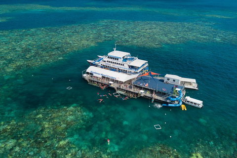 Cruise To Moore Reef Pontoon And Return Helicopter Flight From Cairns - Holiday Cairns 8