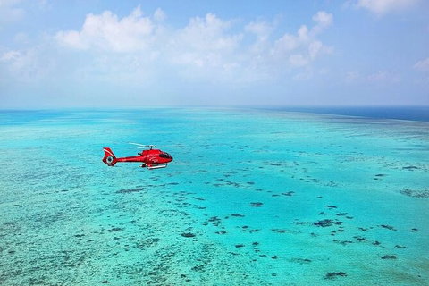 Great Barrier Reef 30-Minute Scenic Helicopter Tour From Cairns - Holiday Cairns 3