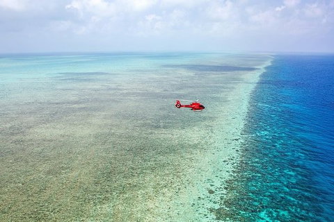 Great Barrier Reef 30-Minute Scenic Helicopter Tour From Cairns - Holiday Cairns 5